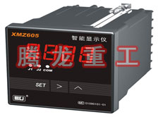 溫度表、數(shù)字顯示儀、濕度表