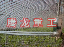 大棚花卉供暖設(shè)備、大棚卉采暖設(shè)備、大棚花卉取暖設(shè)備